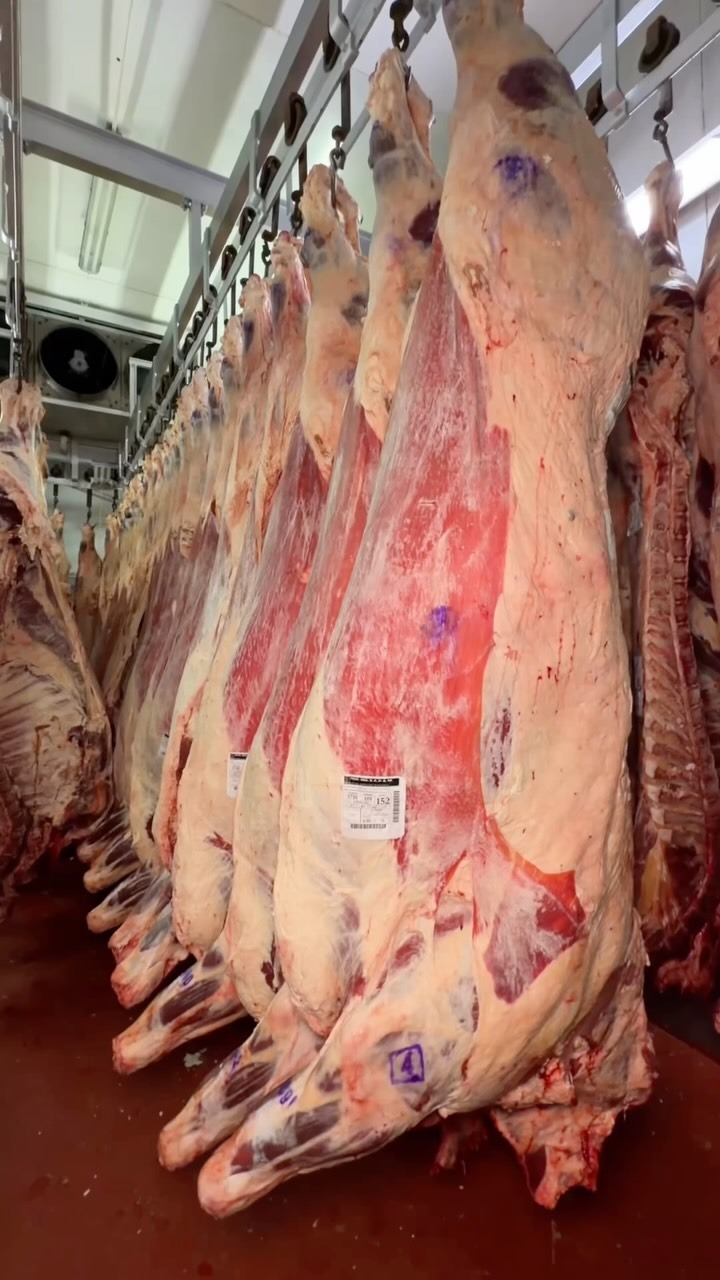 Selección de productos frescos Don Silvio