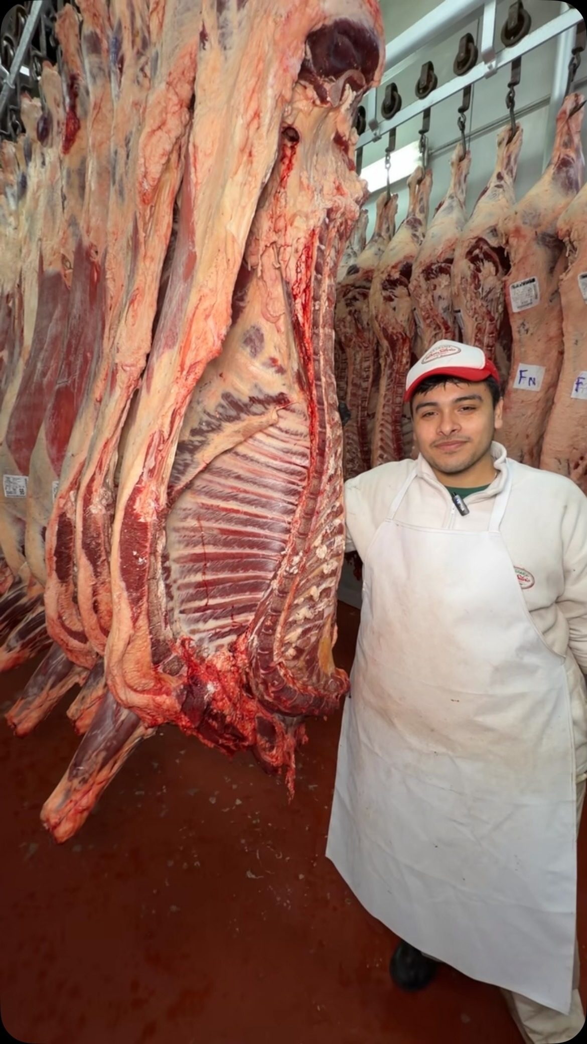 Productos cárnicos exhibidos en el local